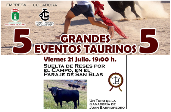 El PSOE de Cabanillas del Campo apuesta por el fomento de la cultura taurina, resucitando después de 76 años el encierro de toros por el campo en nuestro pueblo.